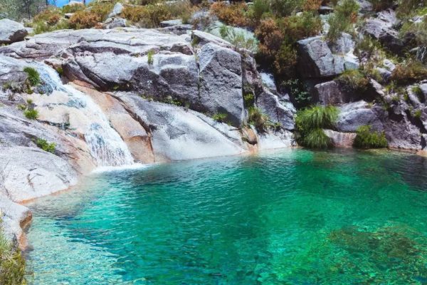 Casa Típica do Minho com Vinha em Produção